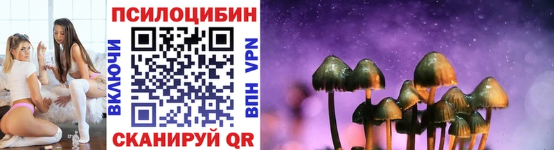 Галлюциногенные грибы Psilocybe Купить где Соль-Илецк